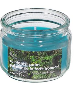 3 OZ SCENTED GLASS JAR WITH LID (RAINFOREST PALM)